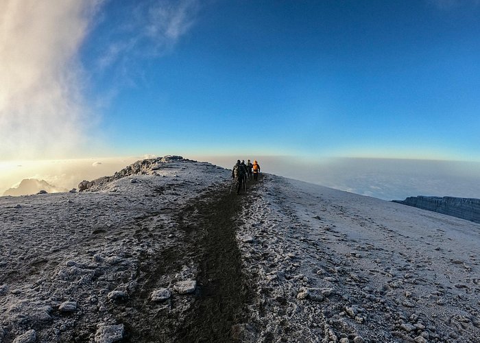 Kilimanjaro Acclimatization Guide: How to Prepare for High Altitude