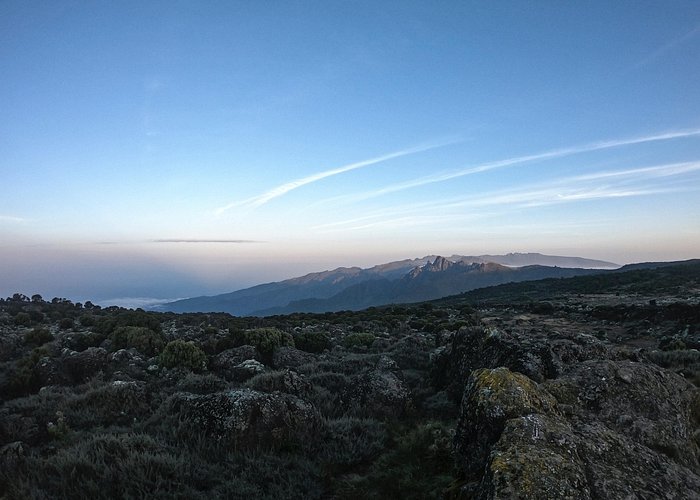 Machame Route Guide: The Scenic Whiskey Route to Uhuru Peak