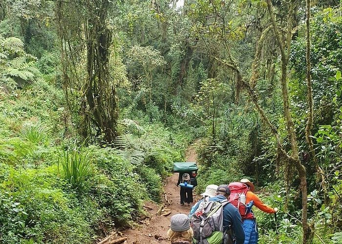 Mount Kilimanjaro Travel Guide: Everything You Need to Know Before the Climb
