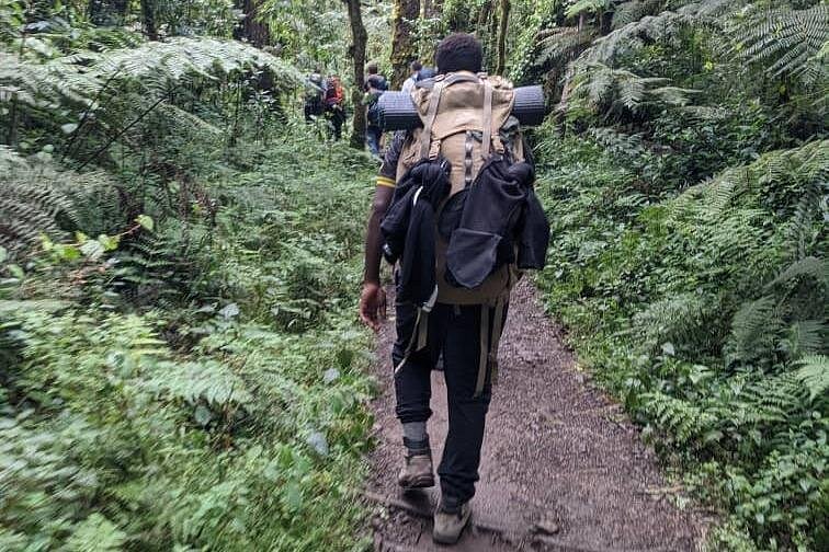 1 Day Machame Route Trek to Machame Camp