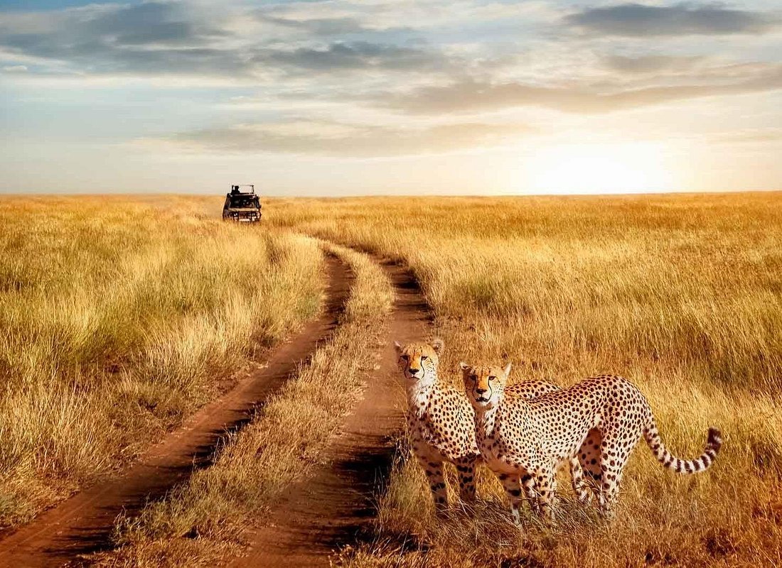 10 Days Ultimate Tanzania Safari