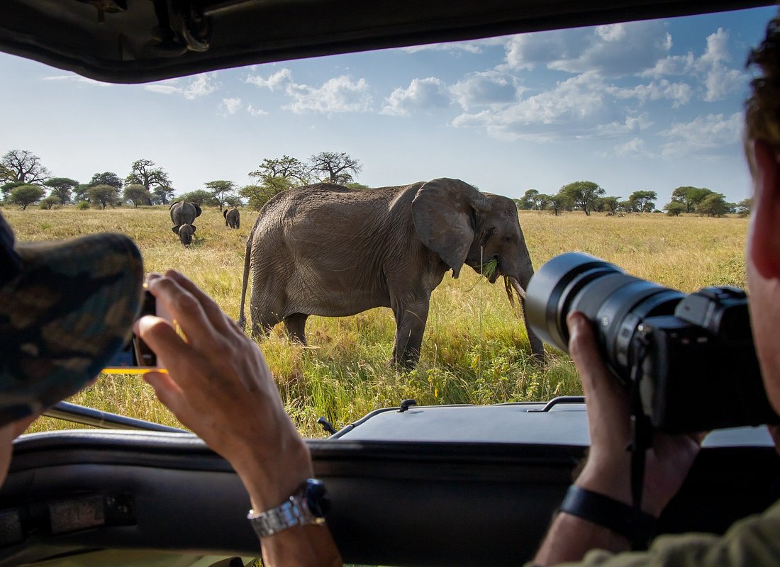 2 Days Lake Manyara & Ngorongoro Safari
