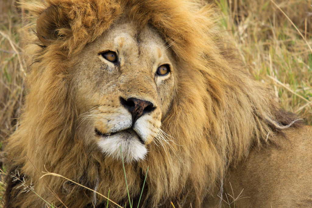 2 Days Tanzania Safari – Tarangire & Ngorongoro Crater