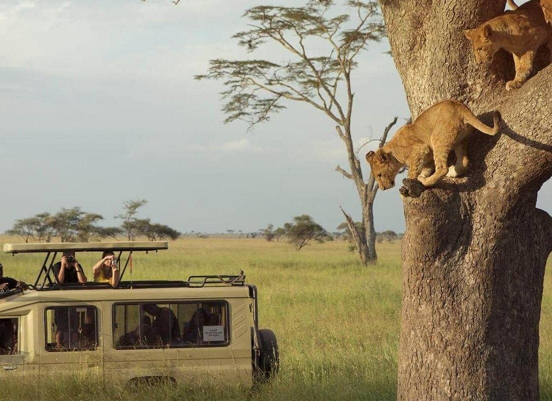 6 Days Serengeti Wildlife Safari