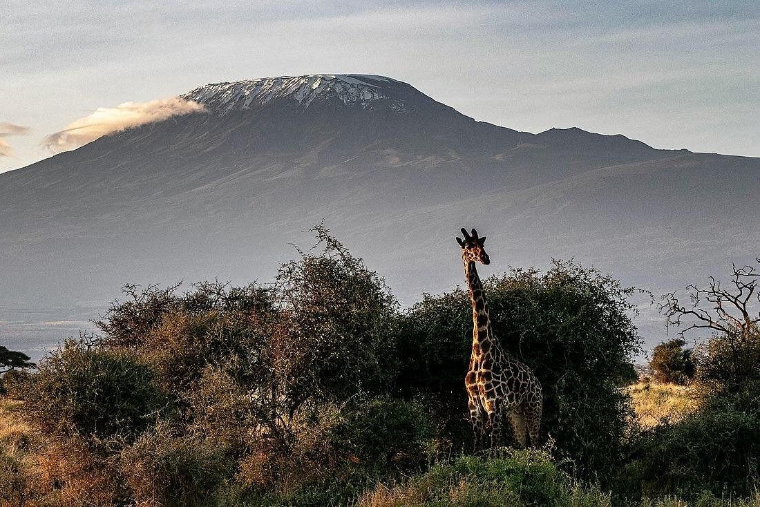 7 Days Mount Kilimanjaro Rongai Route