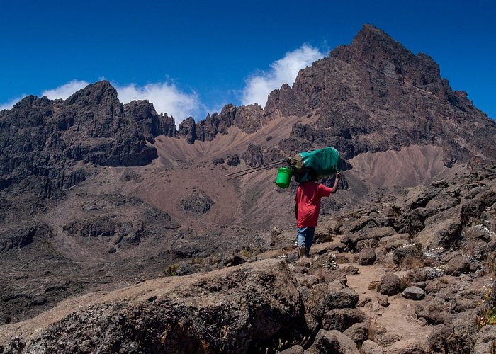 8 Days Mount Kilimanjaro Lemosho Route