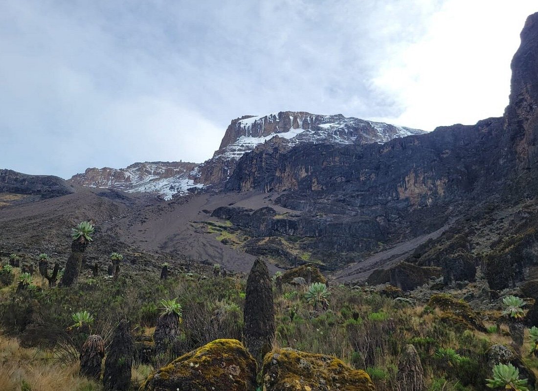 8 Days Mount Kilimanjaro Northern Circuit Route