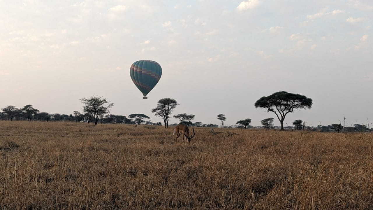 9 Days Northern Circuit Tanzania Safari
