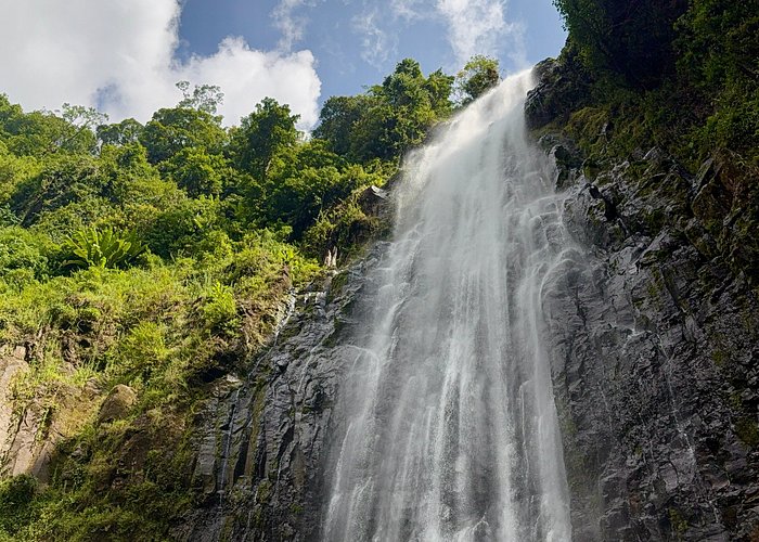 Materuni Waterfalls & Coffee Experience from Moshi