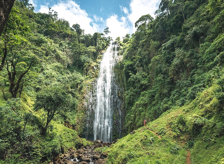 Materuni Waterfalls & Coffee Tour